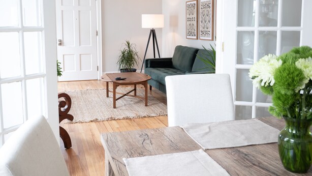 En stue med sovesofa, lampe, krukke med plante og sofabord i træ.