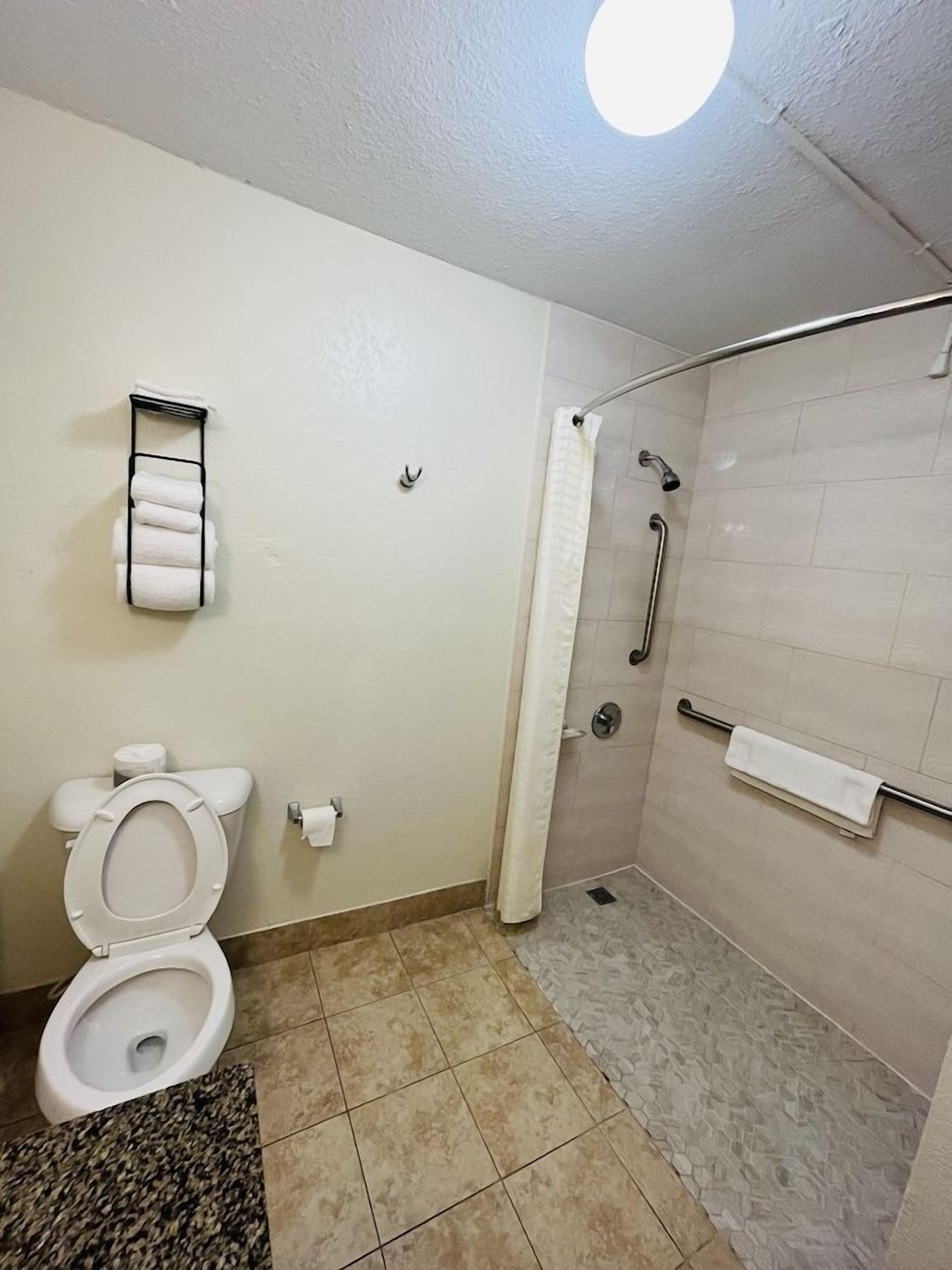 A bathroom with a toilet, a shower with grab bars, and a towel rack.