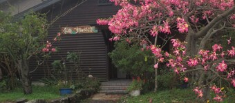 Amami Oshimas wilderness a guest house for rent / Oshima-gun Kagoshima