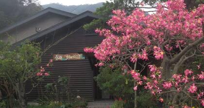 Amami Oshimas wilderness a guest house for rent / Oshima-gun Kagoshima