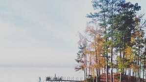 A lakeside view with a wooden dock extending into the water, surrounded by trees and a grassy area. - Dock. Waterslide. Beach. Firepit, Gazebo, 500ft water frontage. Views. Sleep 18. (Equality)