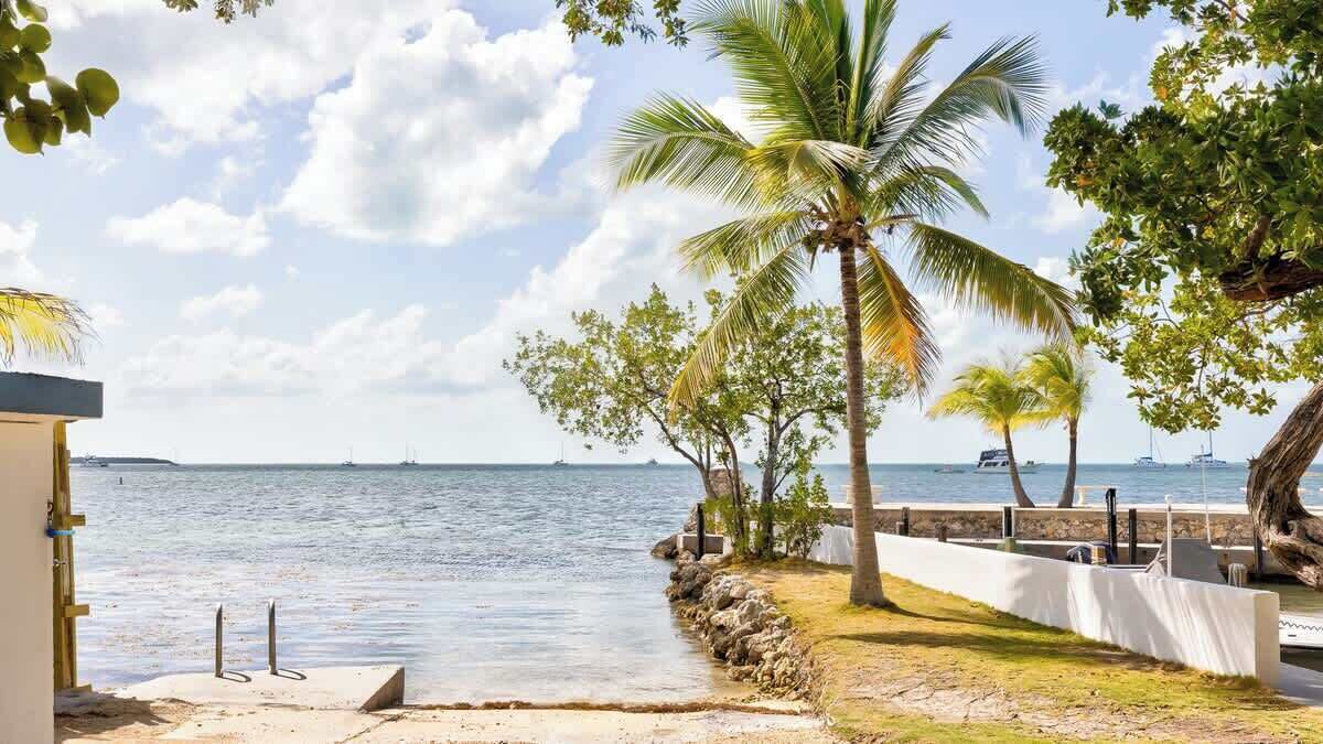 Une vue sur la plage, avec des palmiers, une jetée et un ciel dégagé.