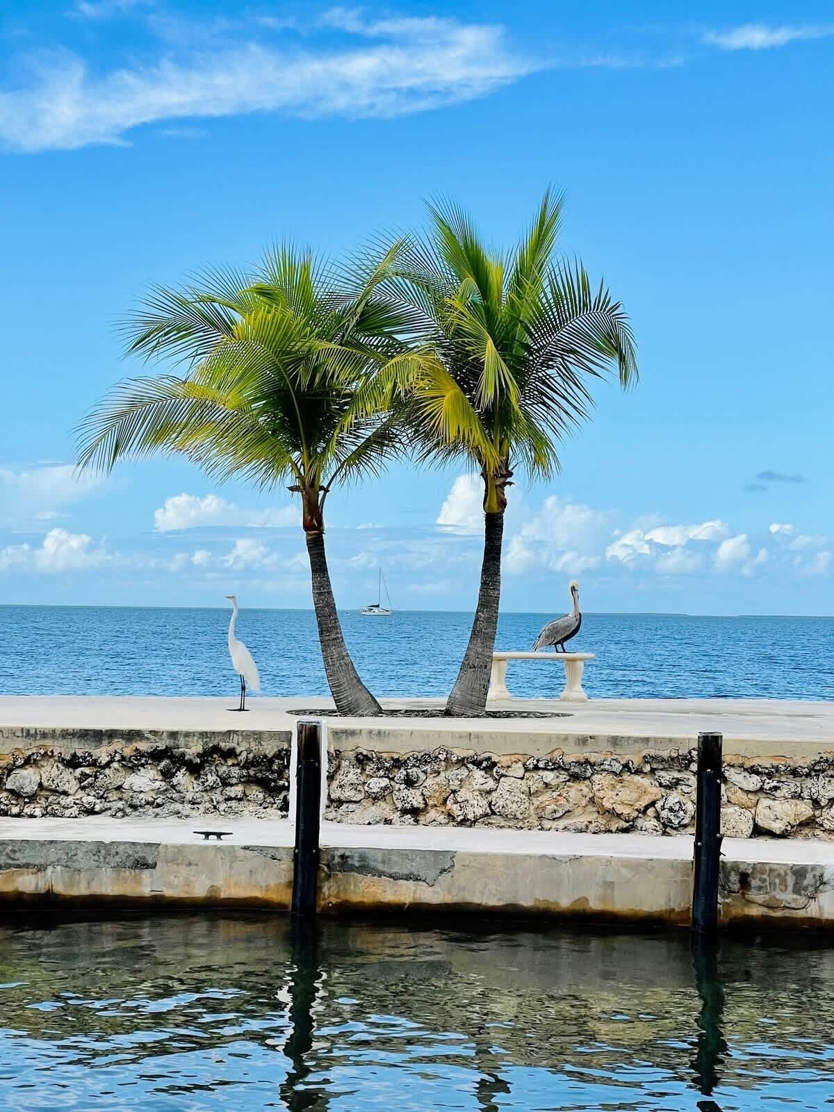 A coastal scene with two palm trees, a bird statue, and a seagull on a concrete ledge by the water.