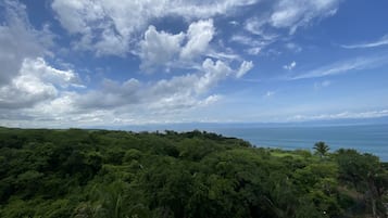 Un paysage tropical caractérisé par une végétation luxuriante et un ciel bleu azur parsemé de quelques nuages.