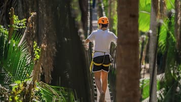 A person walking on a wooden bridge in a forested area.
