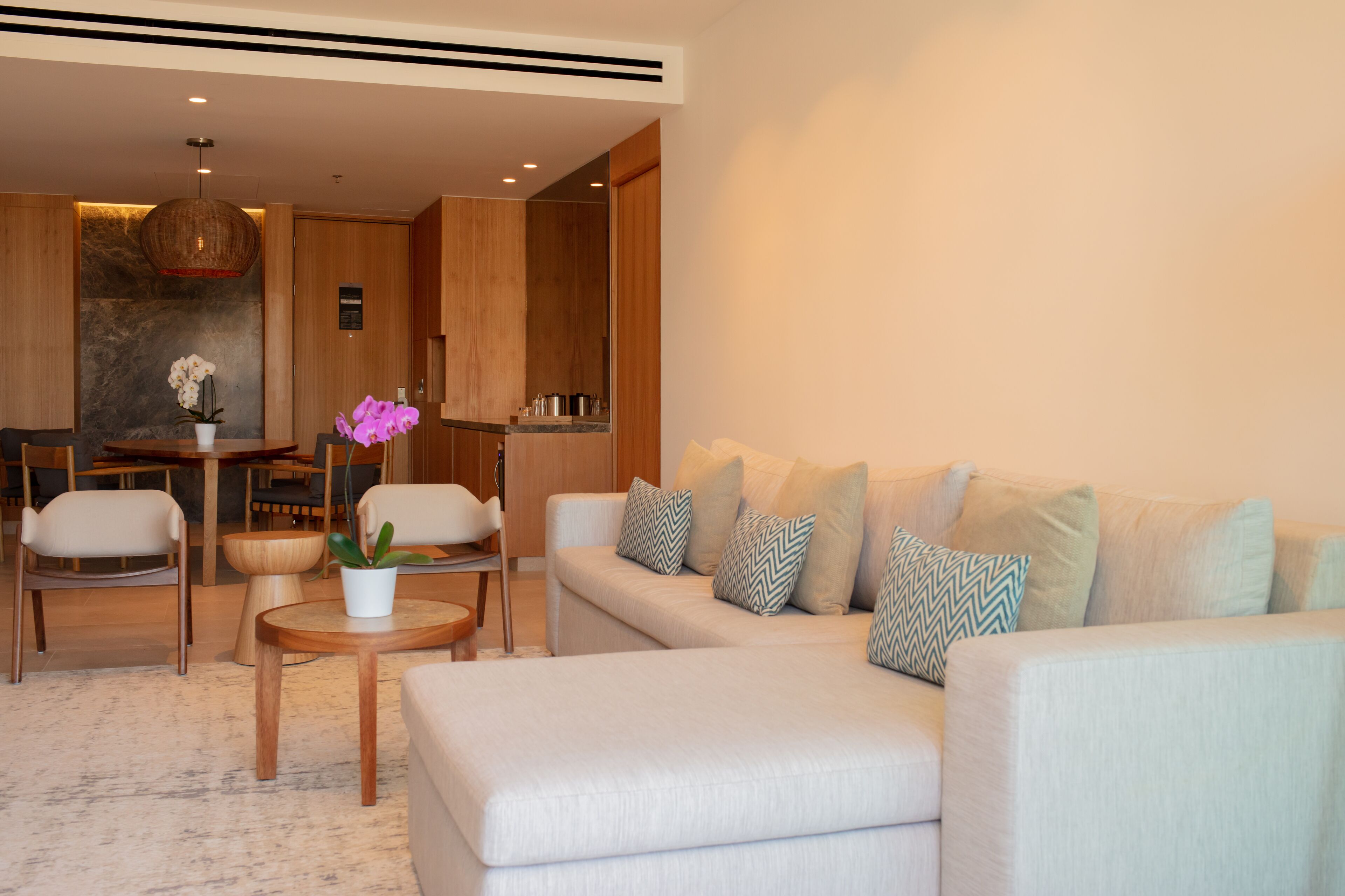 A modern living room with a sofa, chairs, a coffee table, and a dining area with a table and chairs.