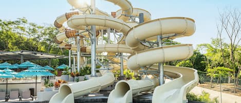 Waterslide