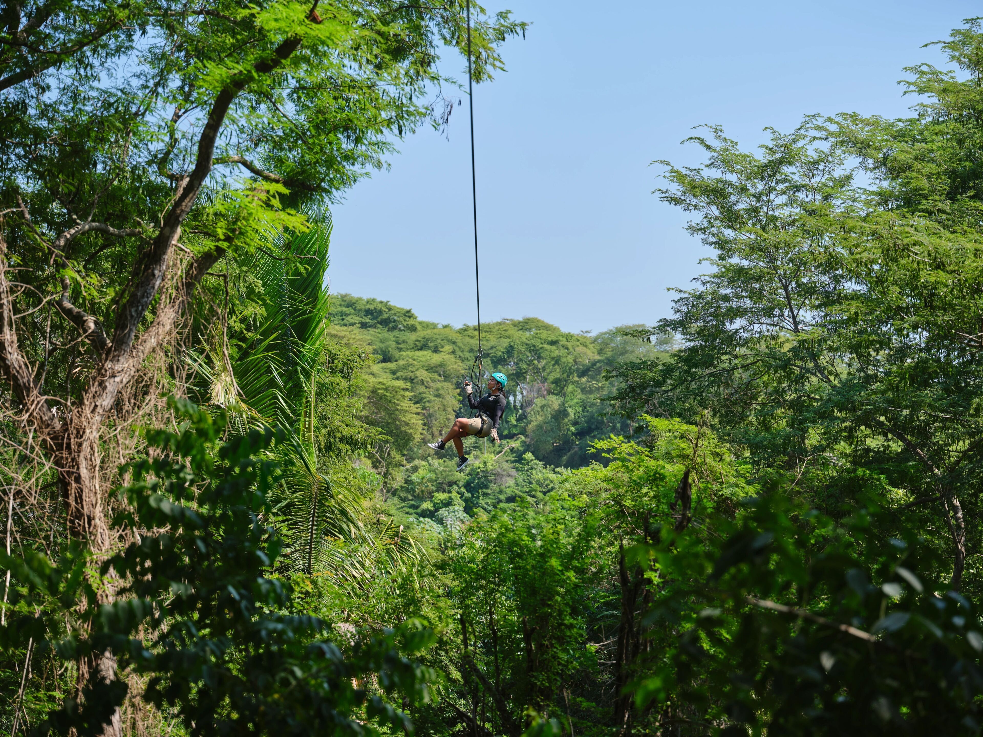 A person suspended on a zipline through a dense forest.