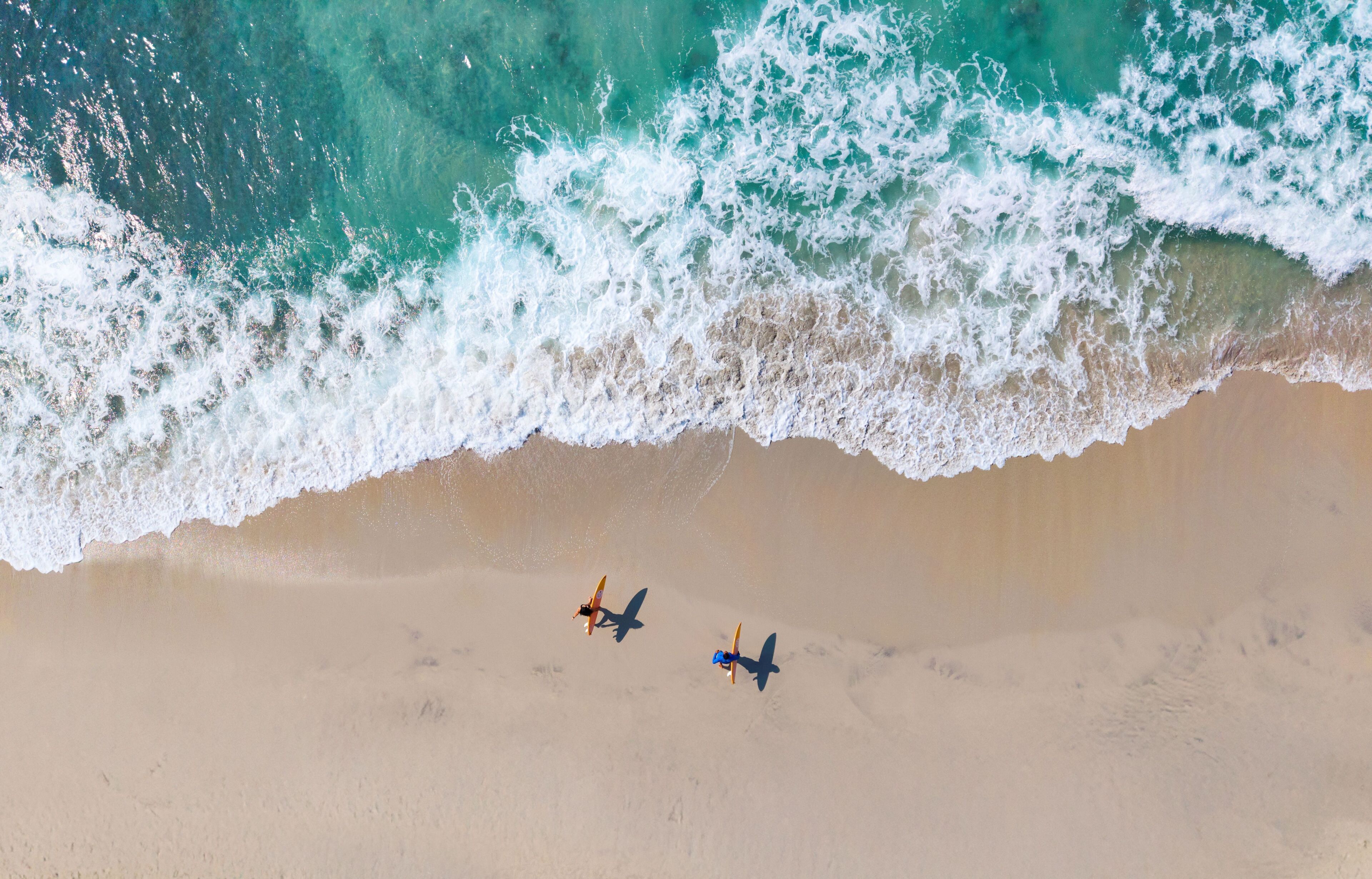 Surf o boogie board