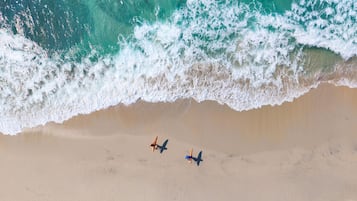 Surf o boogie board