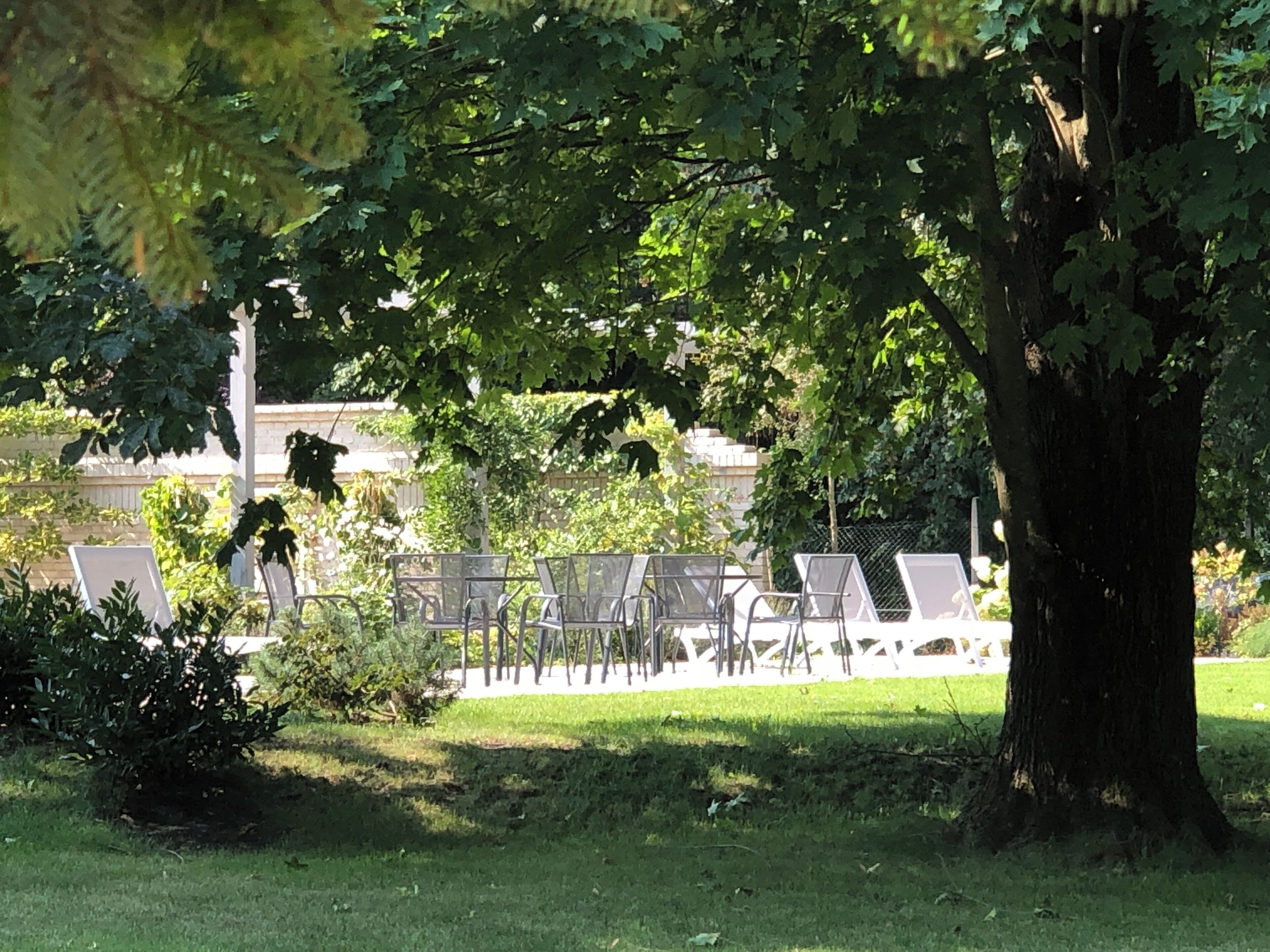 屋外ダイニングエリア