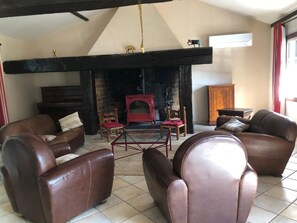TV, fireplace, video games, ping pong