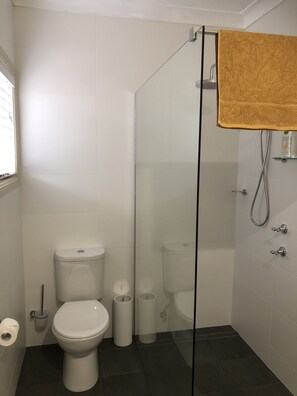 Shower, eco-friendly toiletries, hair dryer, towels