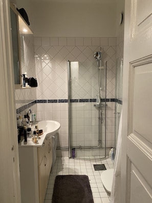 Apartment | Bathroom | Shower