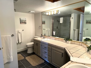 Combined shower/tub, hair dryer, towels, soap