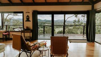 TV, fireplace, books, music library