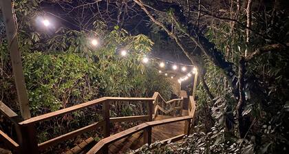 Sky Light. Walk to downtown Highlands