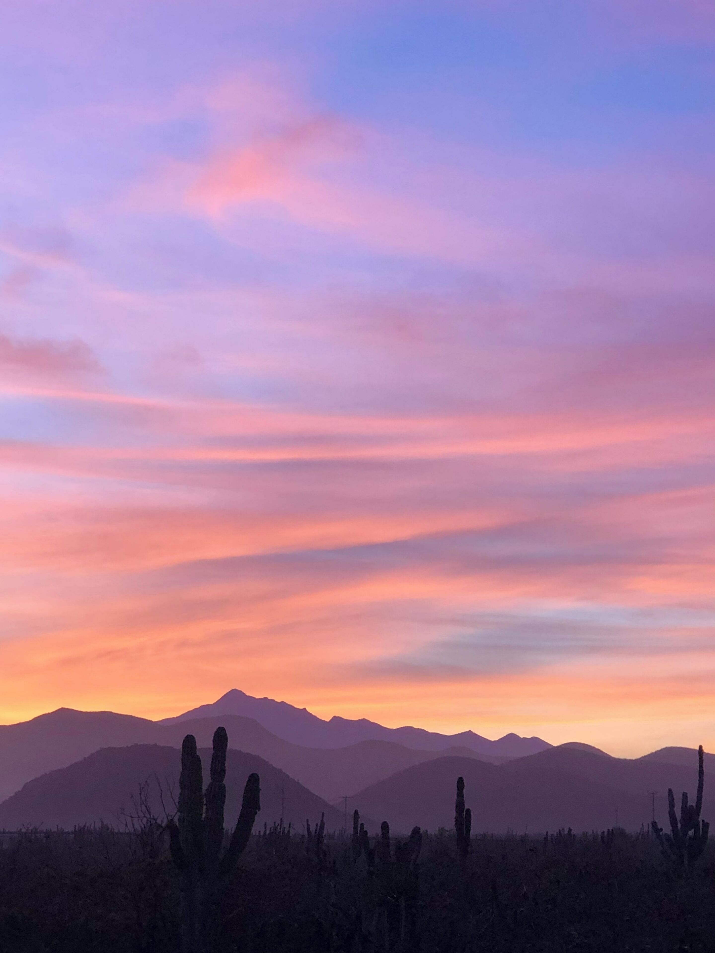 A desert landscape with cacti and mountains under a colorful sky.