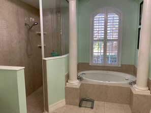 Bathroom - Gorgeous large family home 8 miles from Raymond James Stadium. (Tampa)