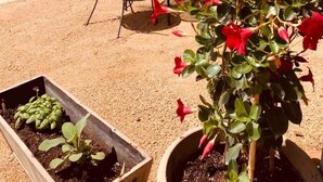 An outdoor patio with a round table and two chairs, surrounded by potted plants and a small garden bed. - Private country studio, near SMF and UC Davis Campus (Woodland)
