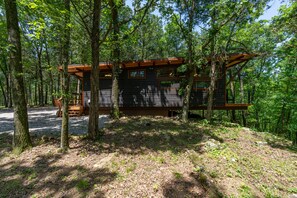 Exterior - Modern High End Cabin #2 on Horsehead Lake (Clarksville)