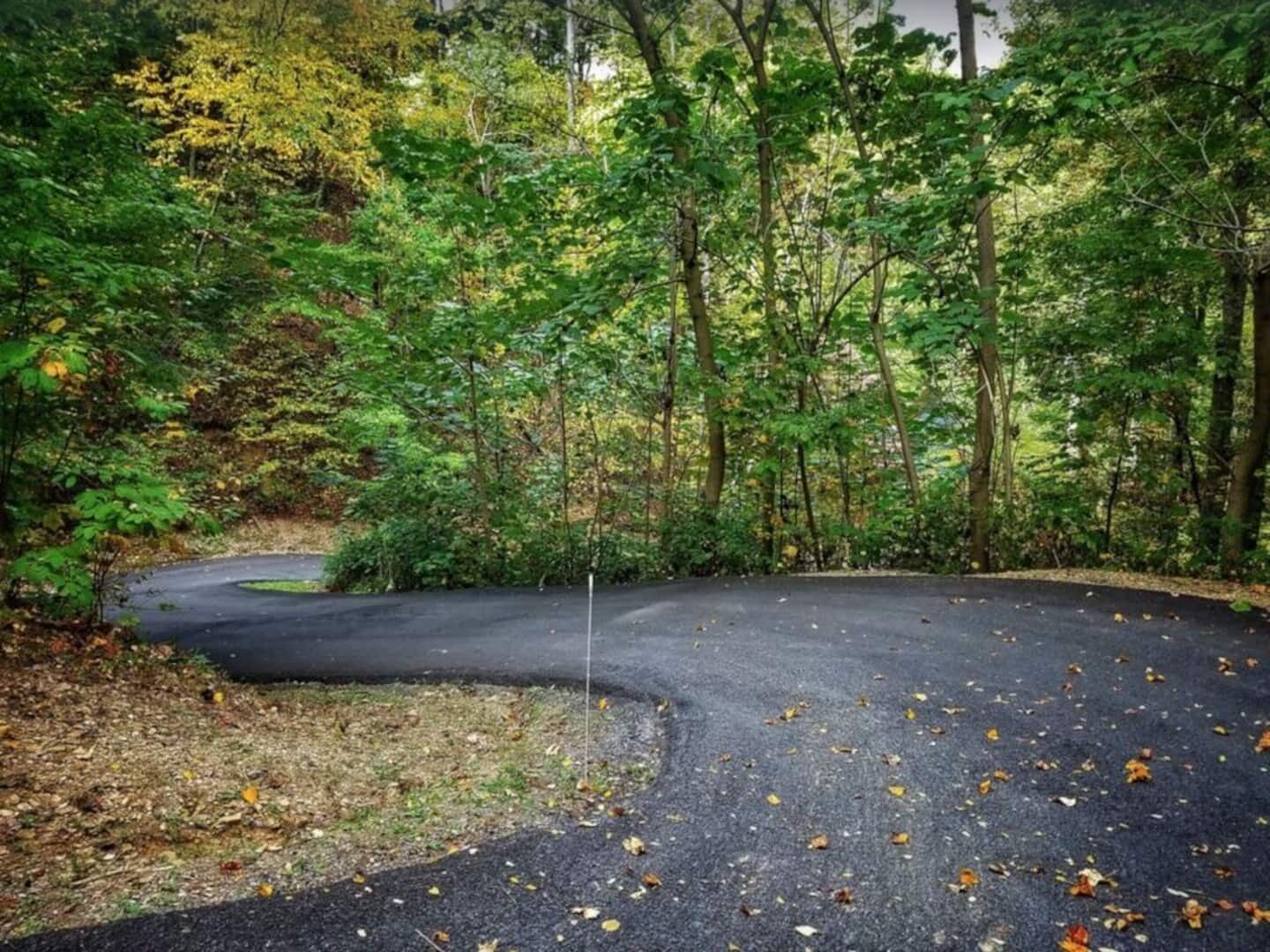 A winding road through a forest with dense foliage and trees.