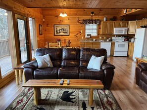 TV connectée, cheminée, livres