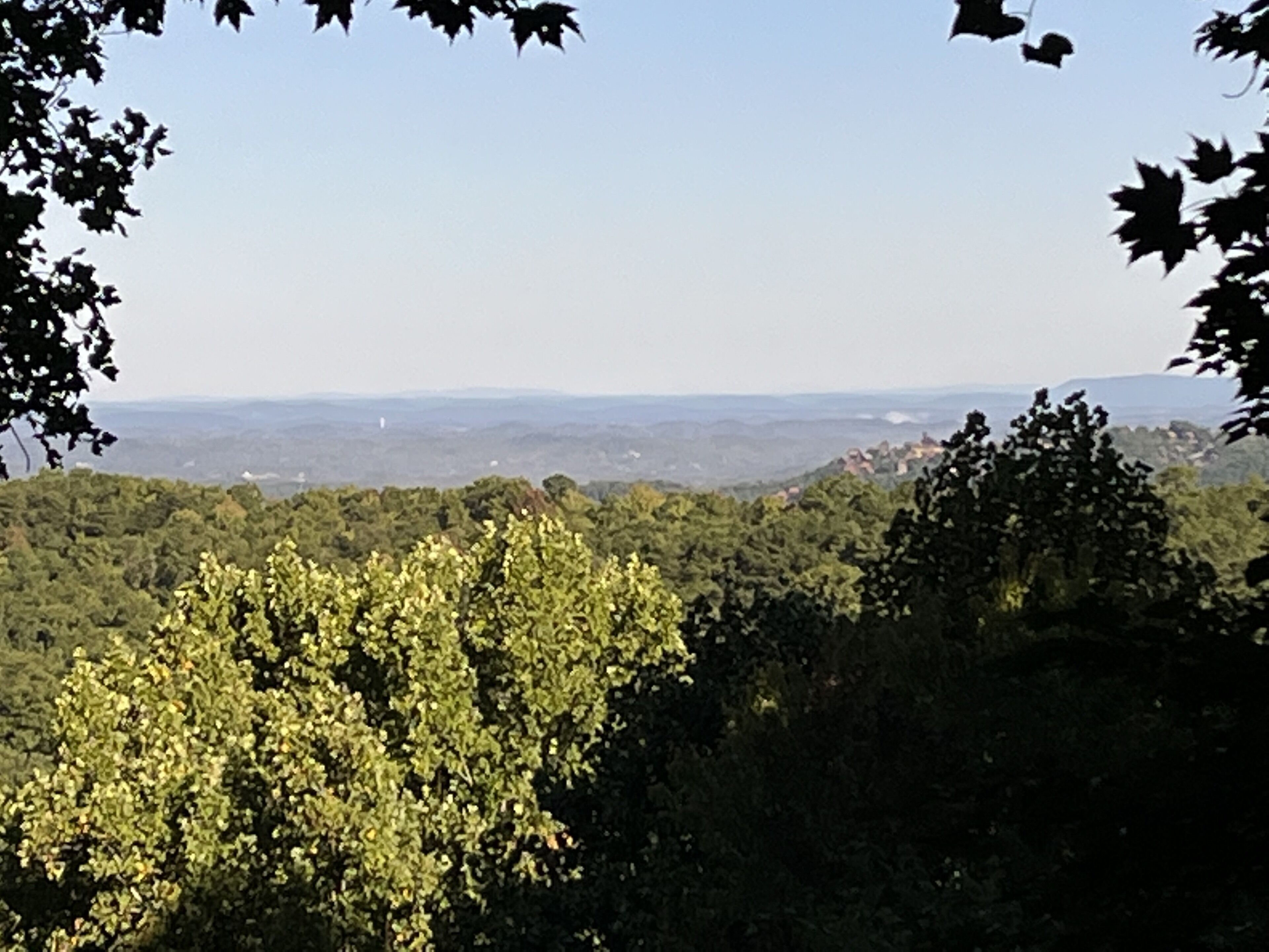 Vista de un paisaje montañoso con denso bosque y cielo despejado.