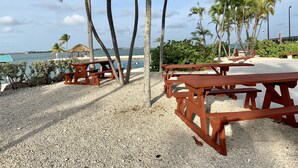 Zona de playa con mesas de picnic, palmeras y vista al océano.