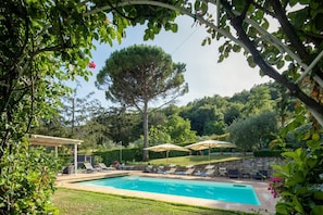 A swimming pool with lounge chairs and umbrellas, surrounded by greenery and trees.