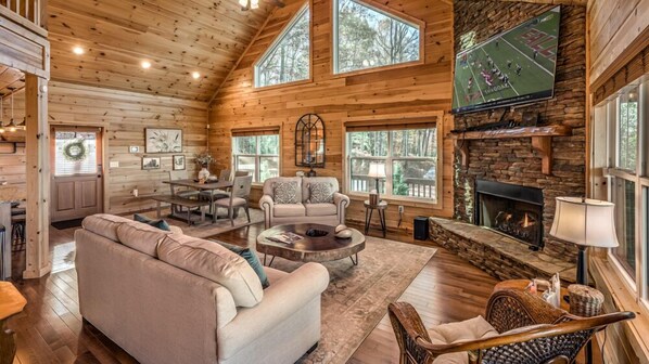 TV, fireplace, video games, DVD player