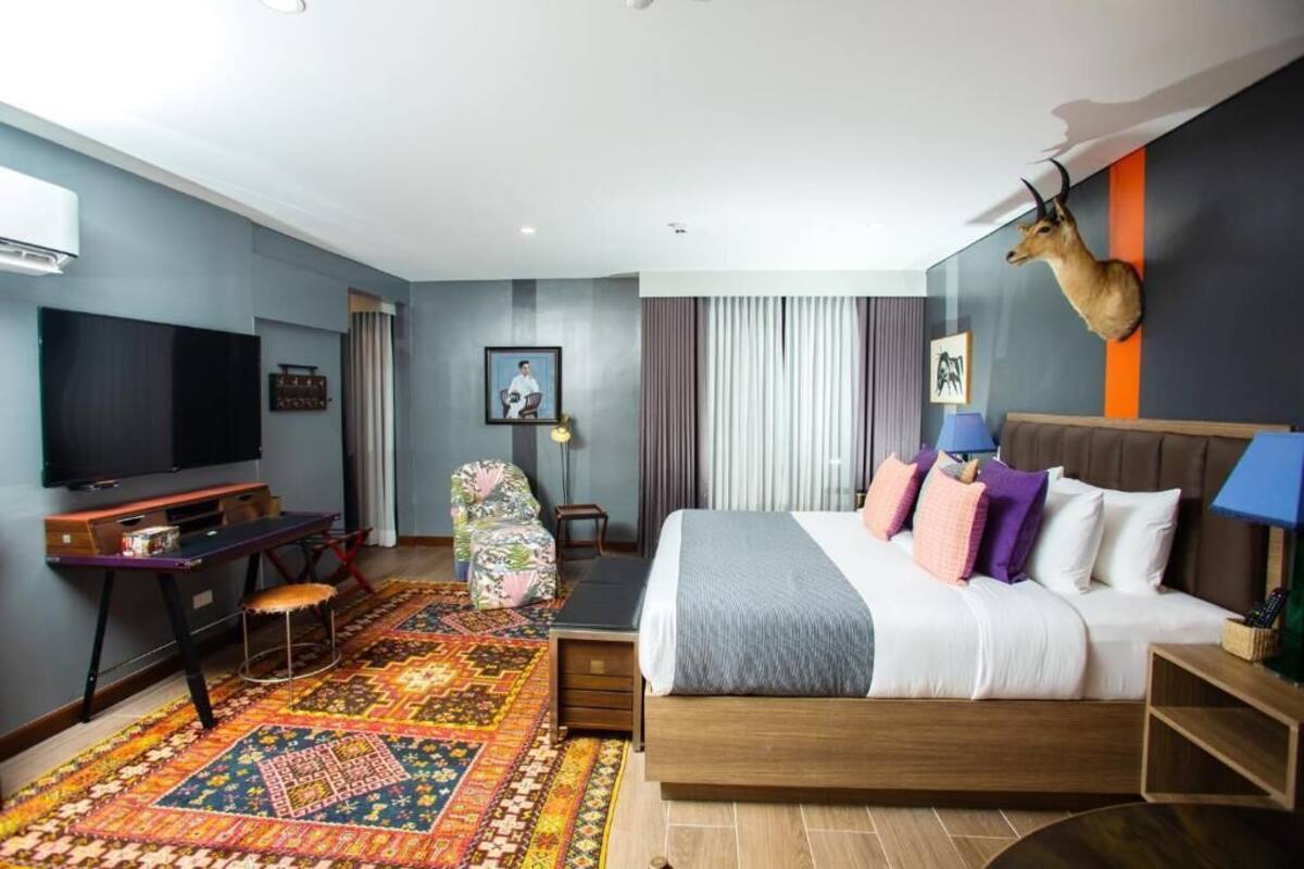 Camera d'albergo moderna con un letto grande, una scrivania, una televisione e una testa di antilope decorativa appesa al muro.