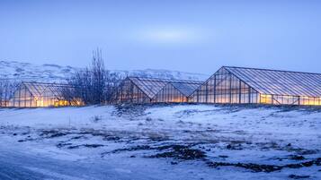 Varias estructuras con techo de cristal en un paisaje nevado al atardecer.