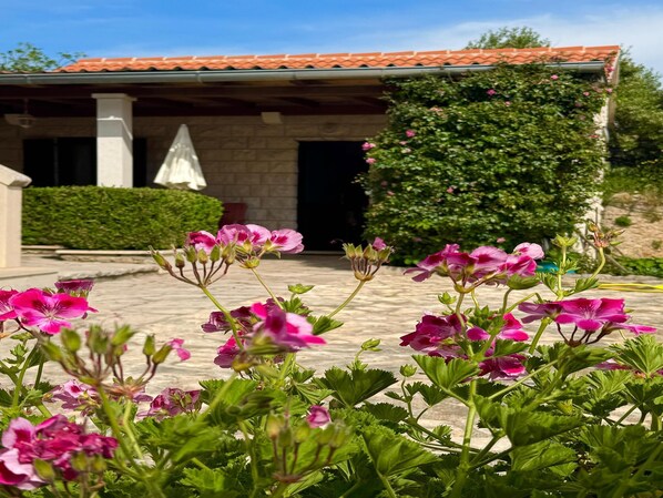 Apartment (Bungalow with terrace) | Terrace/patio