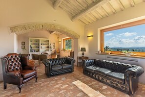 Télévision, cheminée, livres, chaîne hi-fi