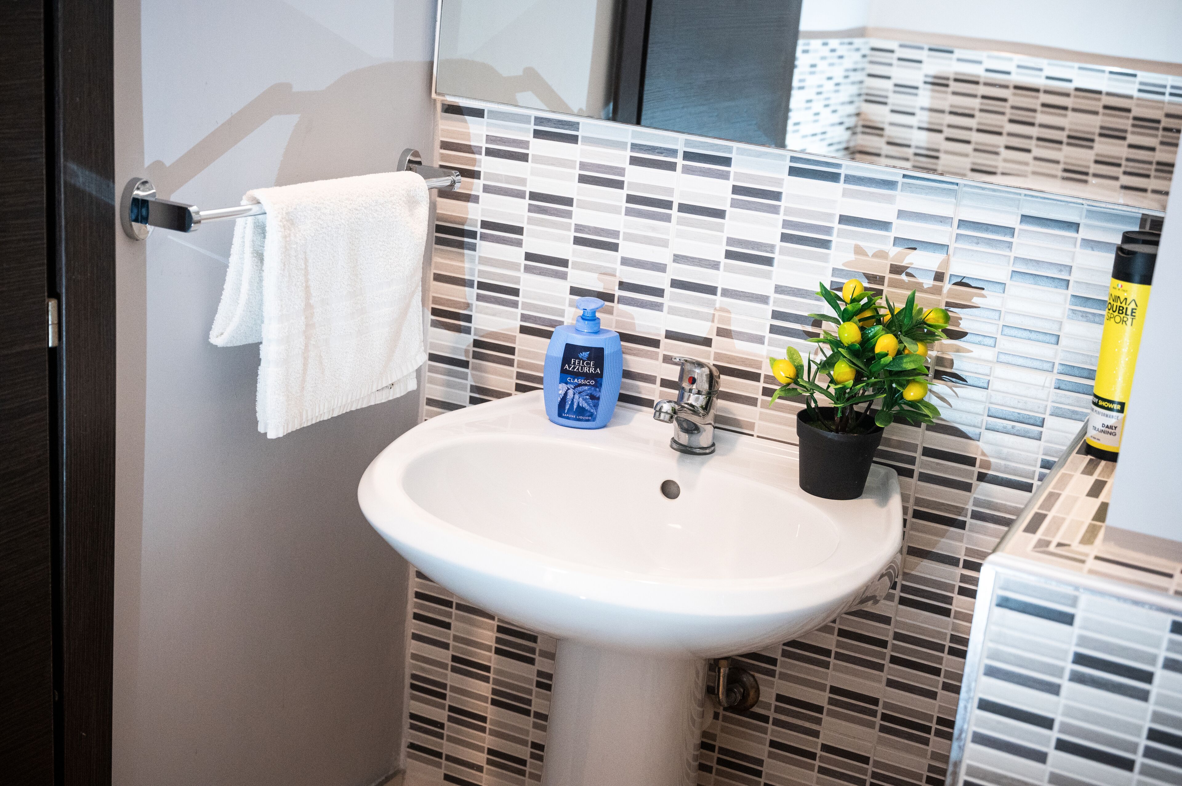 A bathroom with a white sink, a towel hanging on a rack, a blue bottle of shampoo, and a potted plant.