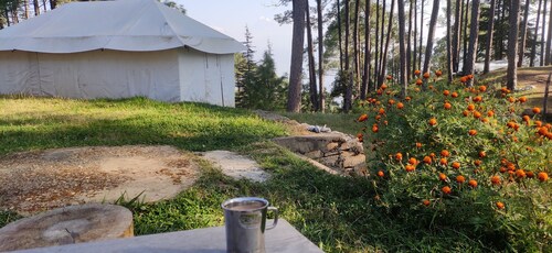 Moustache Woods Of Kausani