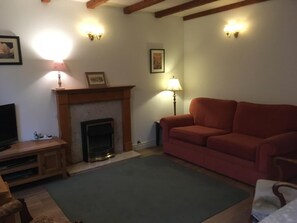 TV, fireplace, DVD player