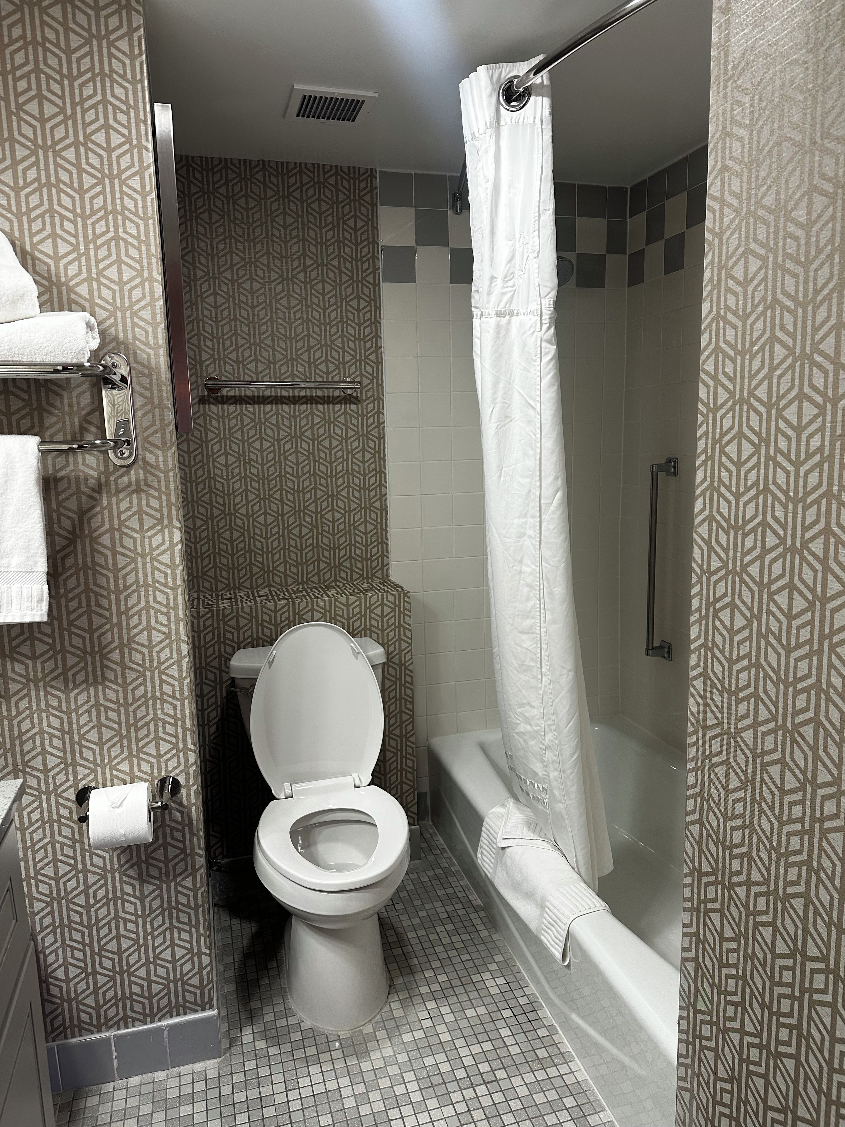 A bathroom with a toilet, a shower with a curtain, and patterned walls.