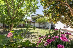 Property grounds - The tranquility of the countryside near the sea (Castiadas)