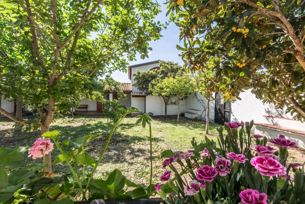 Un jardín con plantas en flor y un edificio al fondo.
