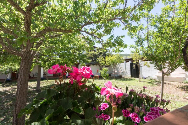 A garden with flowering plants and trees, a white building with a door, and a clear sky. - The tranquility of the countryside near the sea (Castiadas)