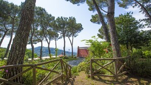 A pathway leading to a building surrounded by tall trees and a view of distant hills.