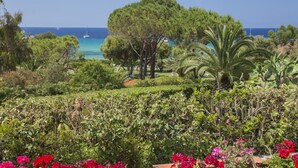 A lush garden with a variety of plants and flowers, a palm tree, and a view of the sea with boats in the distance.