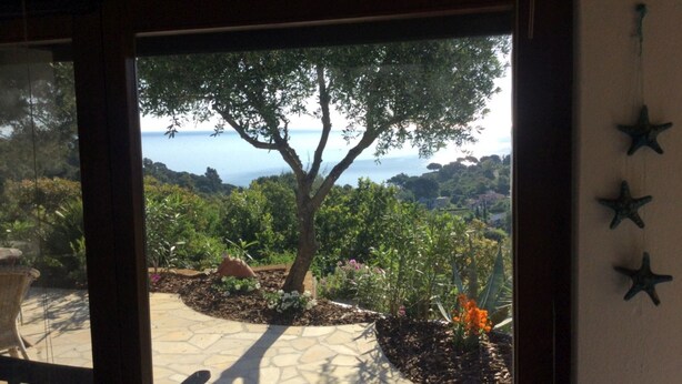 A view through a window with a stone pathway, a tree, and a coastal landscape. - Independent villa with splendid sea view terrace (Capoliveri)