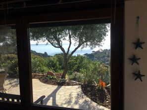 A view through a window with a stone pathway, a tree, and a coastal landscape.