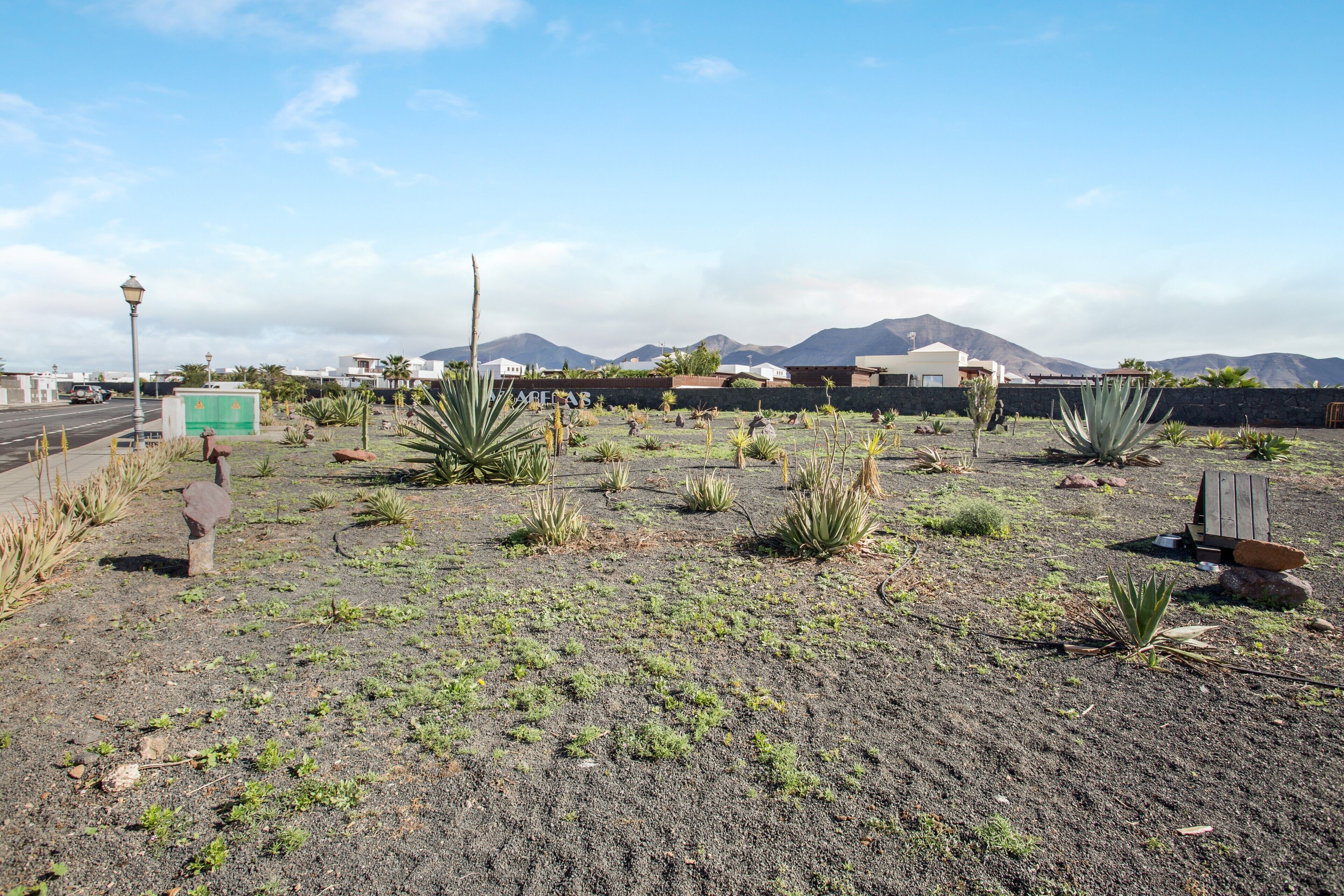 Espaço ao ar livre com plantas típicas do deserto, um poste de luz e uma cadeia montanhosa distante.