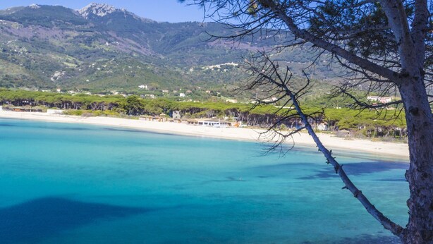 Playa