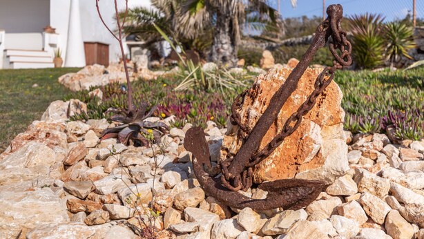 Un ancla rústica entre rocas, un edificio blanco y palmeras al fondo.