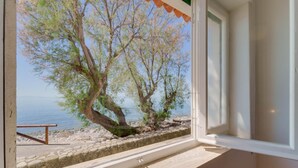 Habitació amb vista a una riba rocosa i arbres.